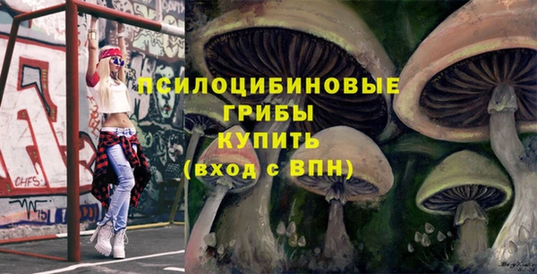 тгк Магадан
