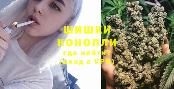 PSILOCYBIN Липки