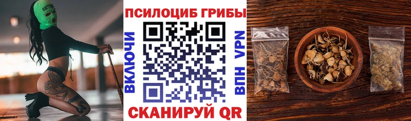 Псилоцибиновые грибы прущие грибы  Лахденпохья 